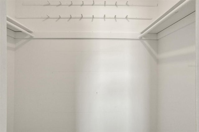 2423 Branch Way Unit 207, Maitland, FL 32751 - view of walk in closet