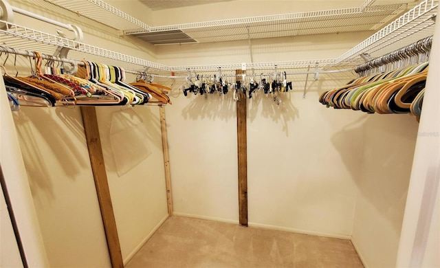 632 Edgewater Dr Unit 832, Dunedin, FL 34698 - walk in closet with light carpet