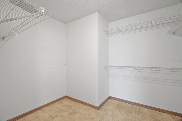 501 Cherry Tree St, Eustis, FL 32726 - walk in closet featuring light colored carpet