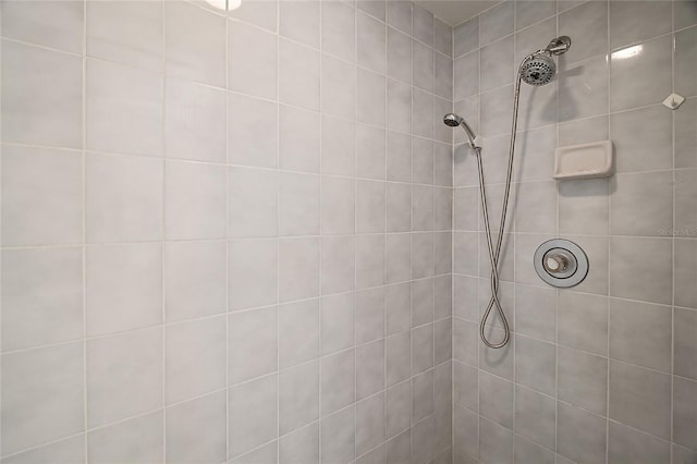 501 Cherry Tree St, Eustis, FL 32726 - bathroom featuring tiled shower