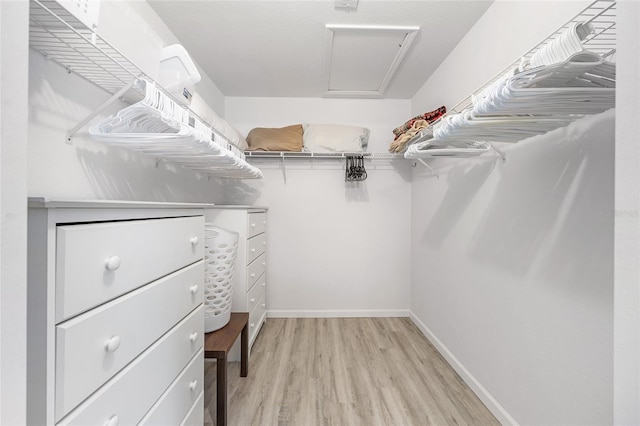 8608 SE 141st Street Rd, Summerfield, FL 34491 - walk in closet featuring light wood-style flooring and attic access