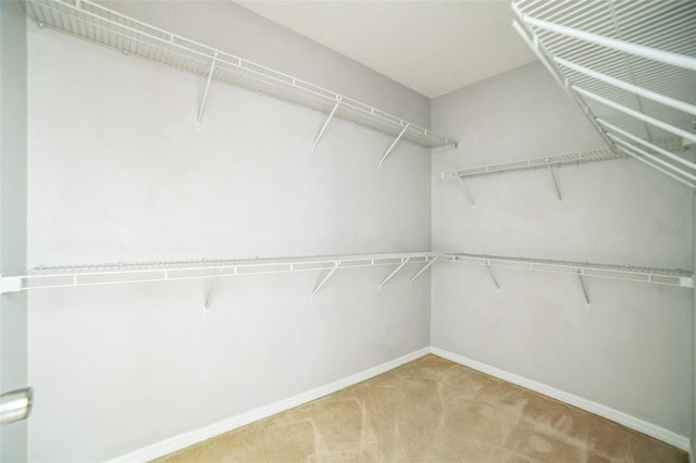 236 Savannah Preserve Loop, Davenport, FL 33837 - spacious closet featuring light colored carpet