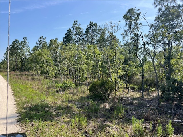 NE 151st Ave, Williston, FL 32696