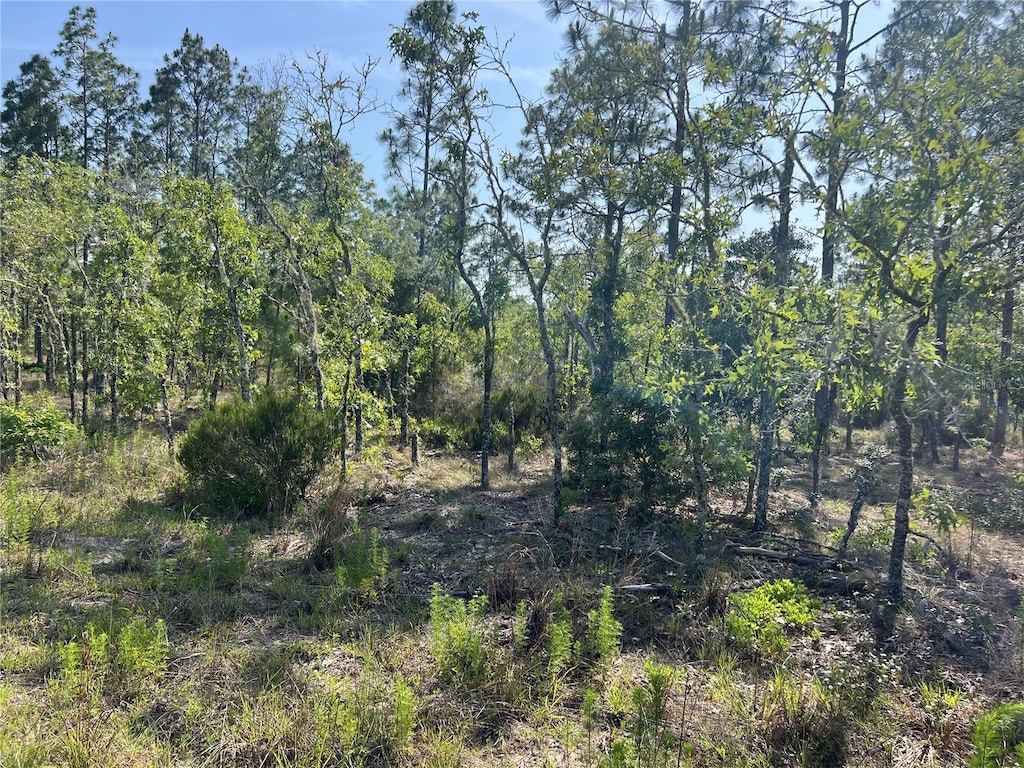 NE 151st Ave, Williston, FL 32696