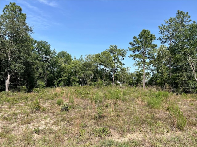 NE 150th Ct, Williston, FL 32696