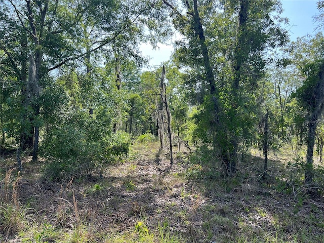 NE 152nd Ct, Williston, FL 32696