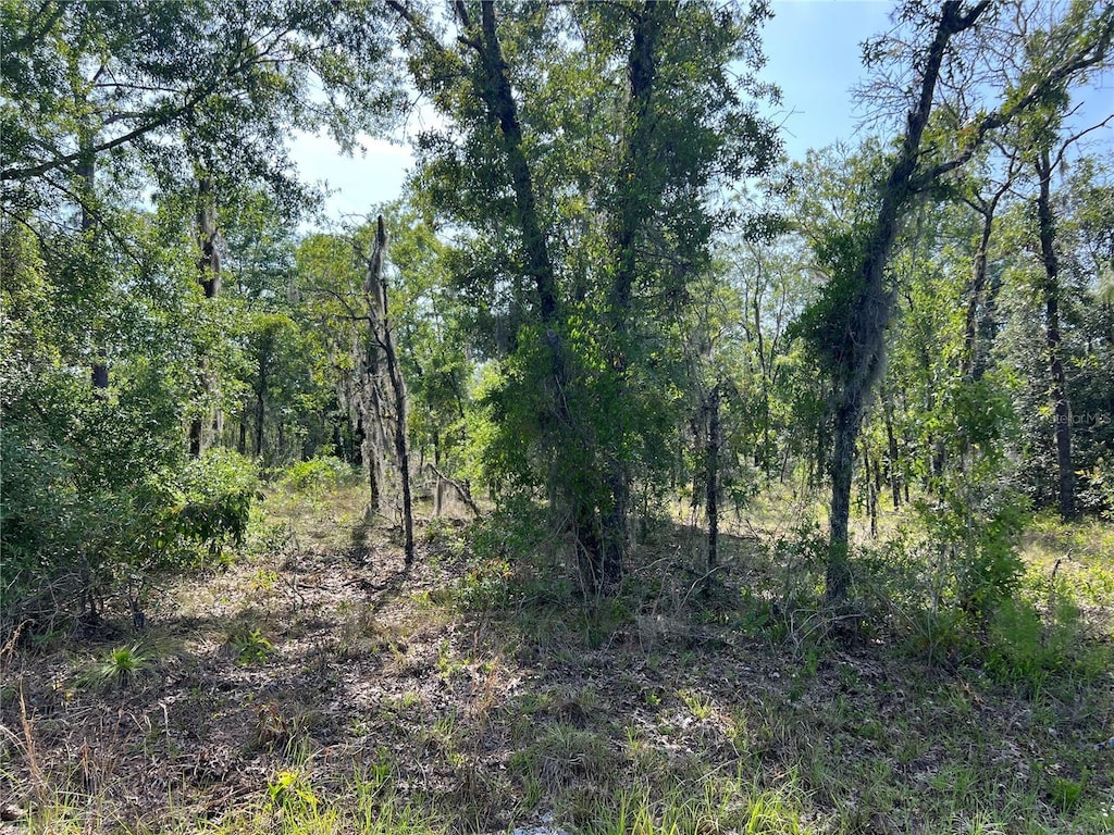 NE 152nd Ct, Williston, FL 32696