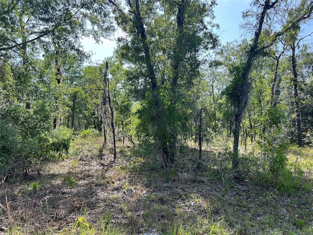 NE 152nd Ct, Williston, FL 32696