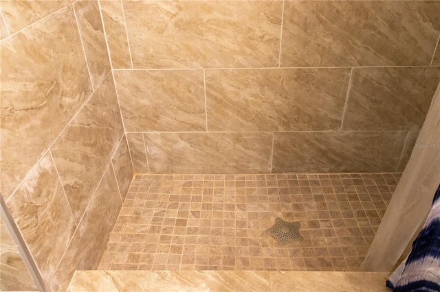 2701 S Dellwood Dr, Eustis, FL 32726 - bathroom view of a tile shower