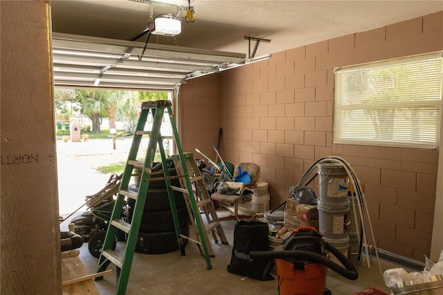 2701 S Dellwood Dr, Eustis, FL 32726 - garage with a garage door opener and concrete block wall