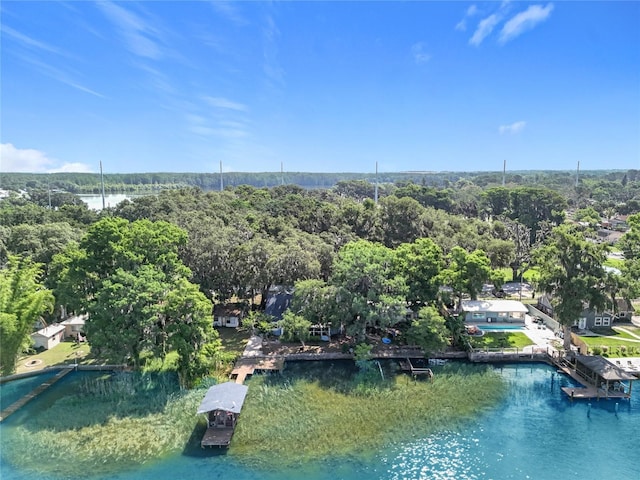 1107 Northshore Dr, Eustis, FL 32726 - drone / aerial view of a nearby body of water