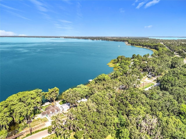 1107 Northshore Dr, Eustis, FL 32726 - drone / aerial view of a nearby body of water and a forest