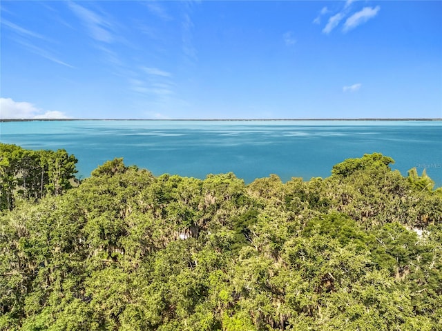 1107 Northshore Dr, Eustis, FL 32726 - water view