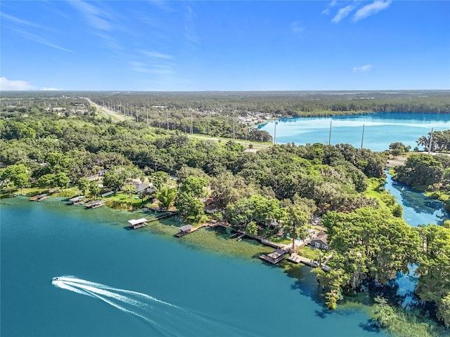 1107 Northshore Dr, Eustis, FL 32726 - aerial view of a forest and a nearby body of water