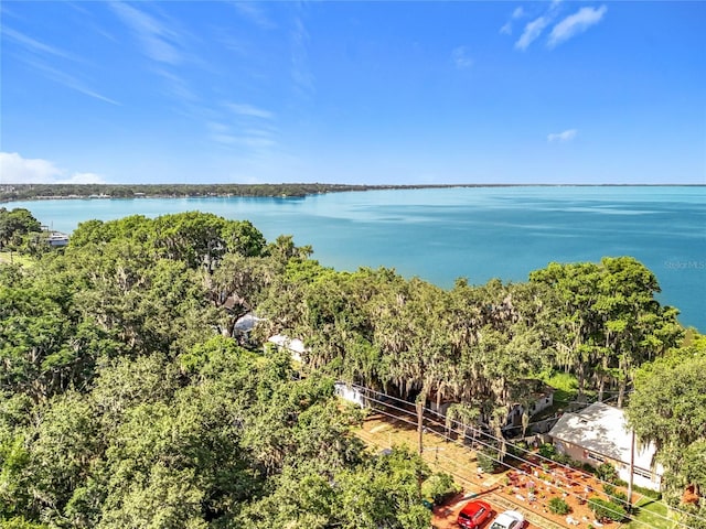 1107 Northshore Dr, Eustis, FL 32726 - drone / aerial view of a large body of water