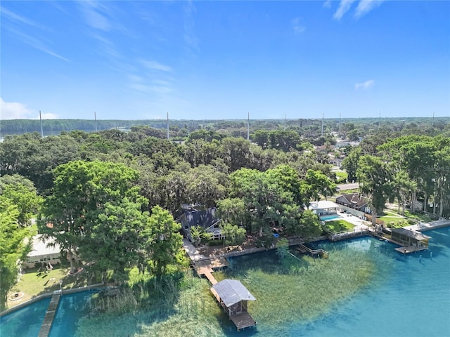 1107 Northshore Dr, Eustis, FL 32726 - aerial view of a pool