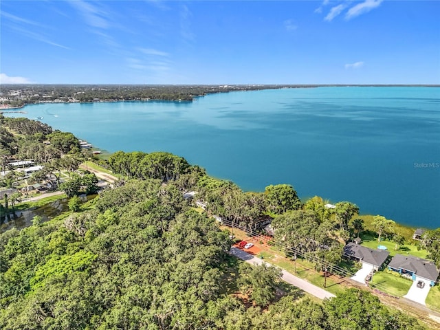 1107 Northshore Dr, Eustis, FL 32726 - aerial view of a nearby body of water