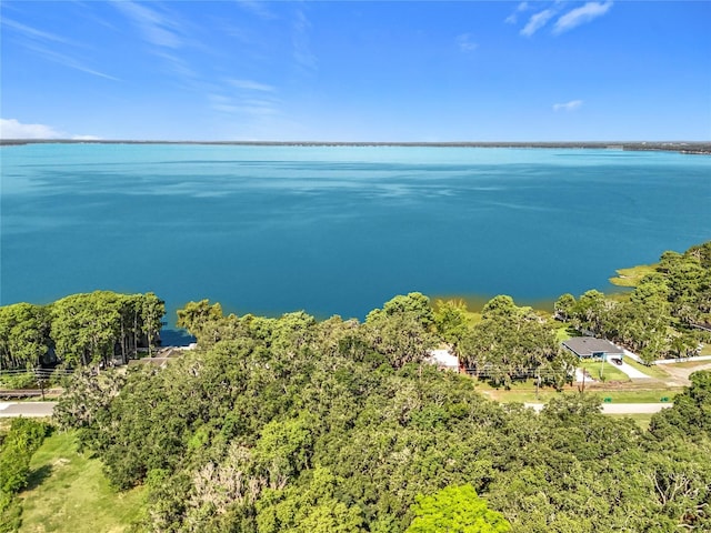 1107 Northshore Dr, Eustis, FL 32726 - drone / aerial view of a large body of water