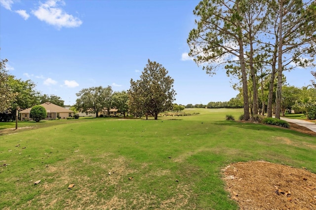 view of grassy yard featuring view of golf course