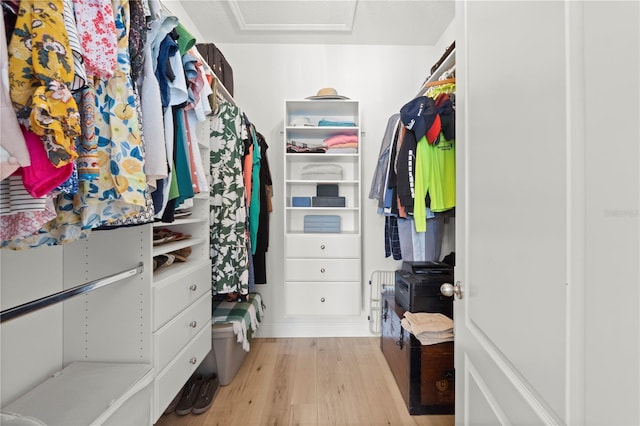 2928 Marlberry Ln, Clermont, FL 34714 - walk in closet featuring light wood-style flooring and attic access