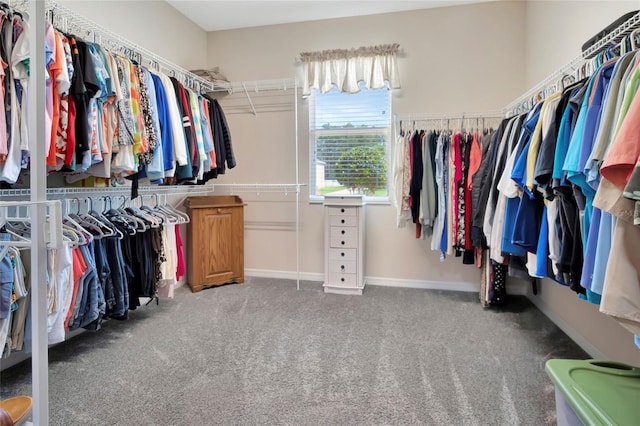 4716 Heritage Trl, Leesburg, FL 34748 - spacious closet with carpet flooring