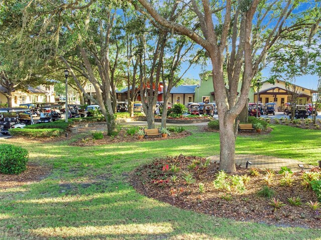4716 Heritage Trl, Leesburg, FL 34748 - view of home's community featuring a lawn