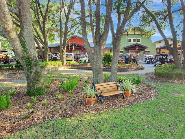 4716 Heritage Trl, Leesburg, FL 34748 - view of home's community