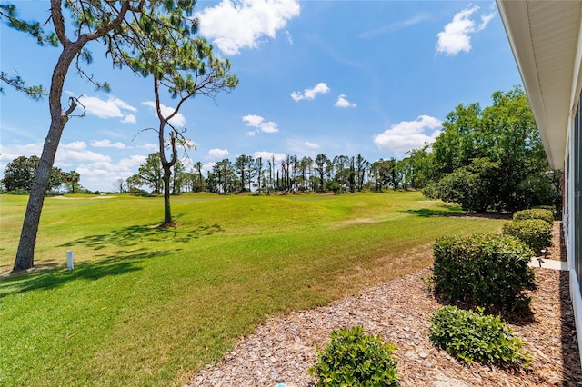 13165 SE 93rd Cir, Summerfield, FL 34491 - view of grassy yard featuring view of golf course and view of wooded area