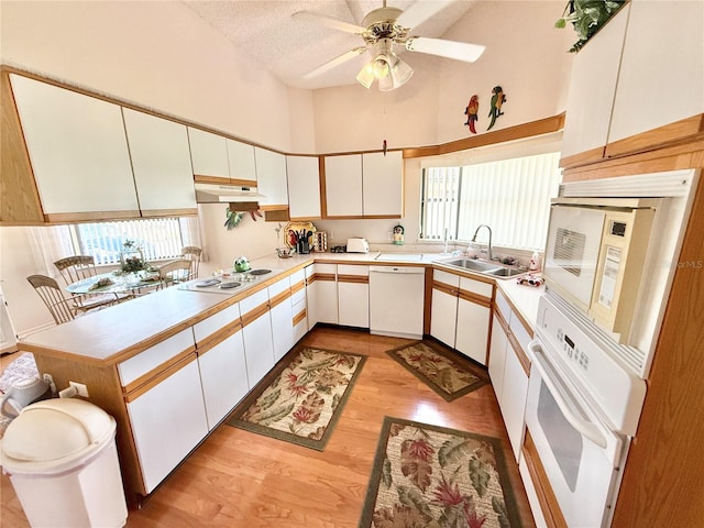 26612 Bella Vista Dr, Howey In The Hills, FL 34737 - photo 4