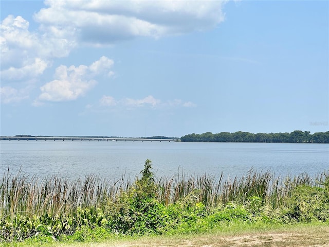 26612 Bella Vista Dr, Howey In The Hills, FL 34737 - photo 24