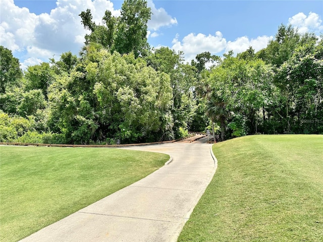 26612 Bella Vista Dr, Howey In The Hills, FL 34737 - photo 29