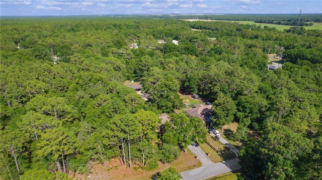 5581 SW 197th Ter, Dunnellon, FL 34431 - view of property location featuring a forest