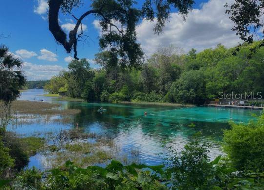 5581 SW 197th Ter, Dunnellon, FL 34431 - water view with a heavily wooded area