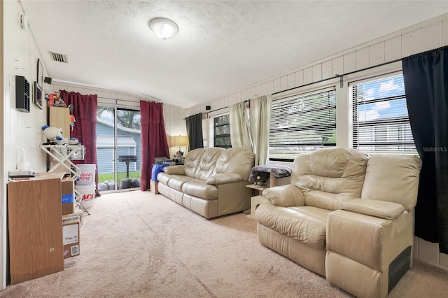 10301 US Highway 27 Unit 187, Clermont, FL 34711 - living room with carpet, lofted ceiling, and a textured ceiling