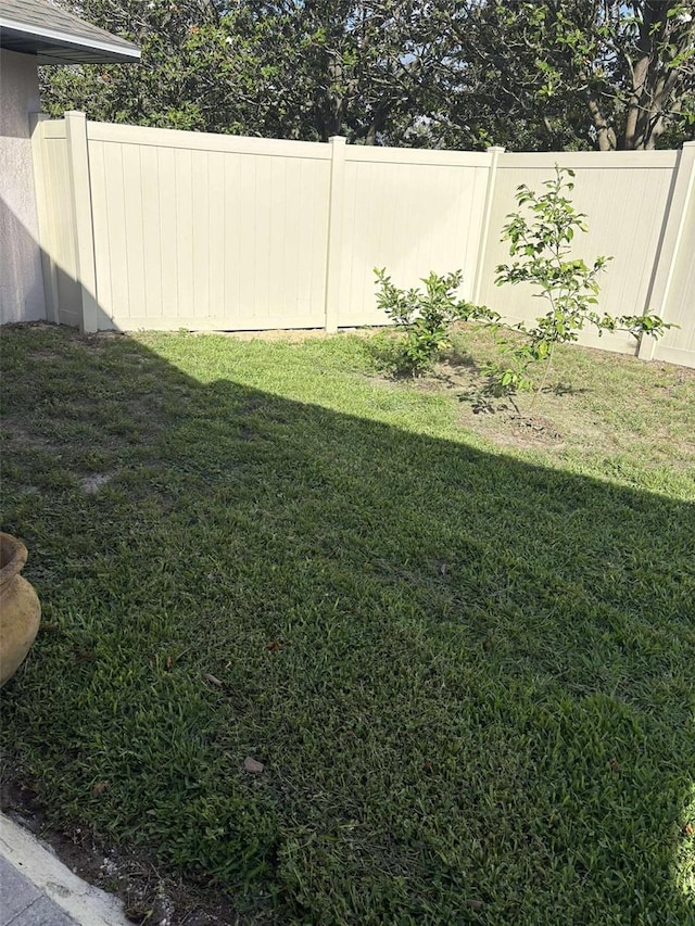 11036 Bronson Rd, Clermont, FL 34711 - view of yard