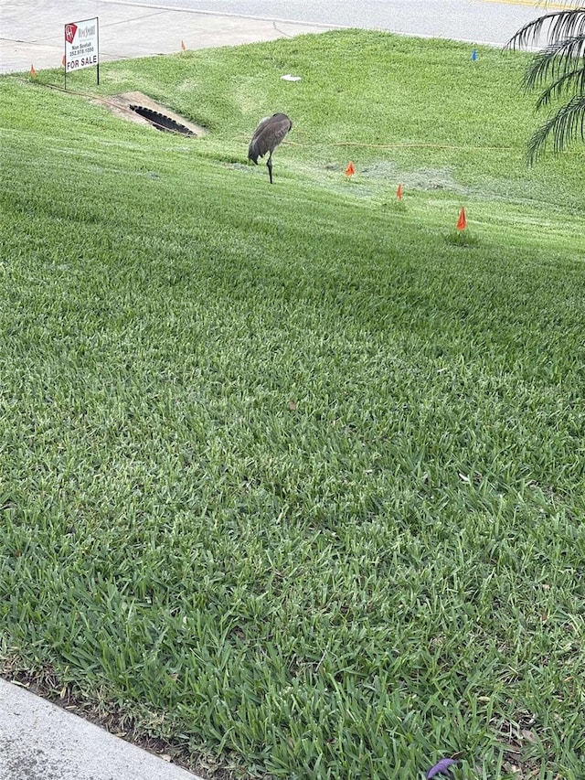 11036 Bronson Rd, Clermont, FL 34711 - view of grassy yard