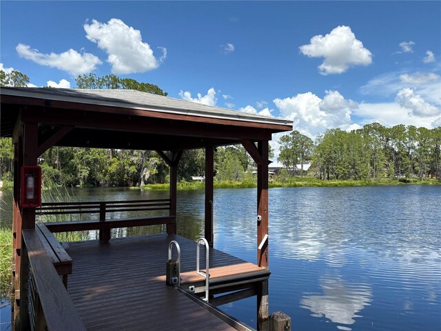11036 Bronson Rd, Clermont, FL 34711 - photo 46