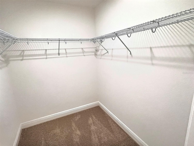 358 Switchgrass Loop, Minneola, FL 34715 - spacious closet with dark carpet