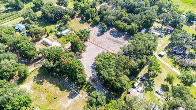 SE 124th Ave, Webster, FL 33597