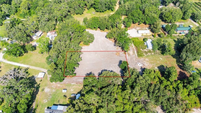 SE 124th Ave, Webster, FL 33597