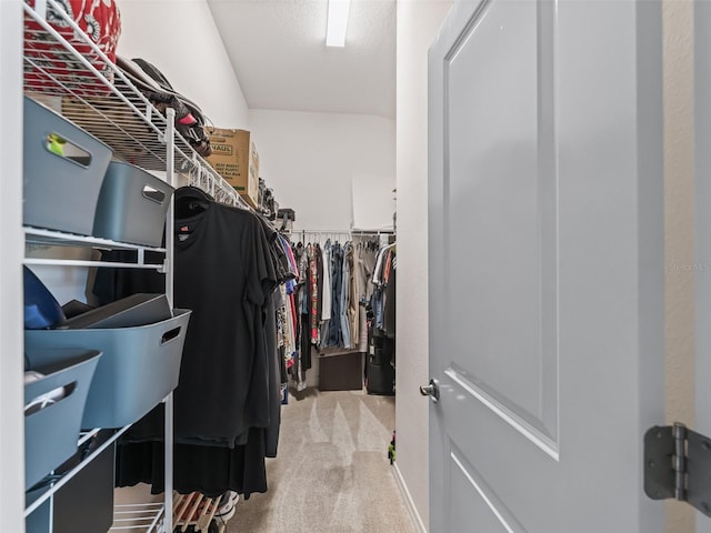 6301 Whittle Ct, The Villages, FL 32163 - walk in closet with carpet