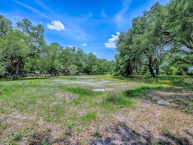 9144 SW 156th Pl, Dunnellon, FL 34432 - photo 43