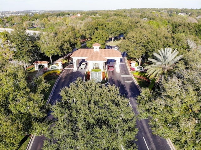 4083 Capland Ave, Clermont, FL 34711 - view of subject property featuring a heavily wooded area