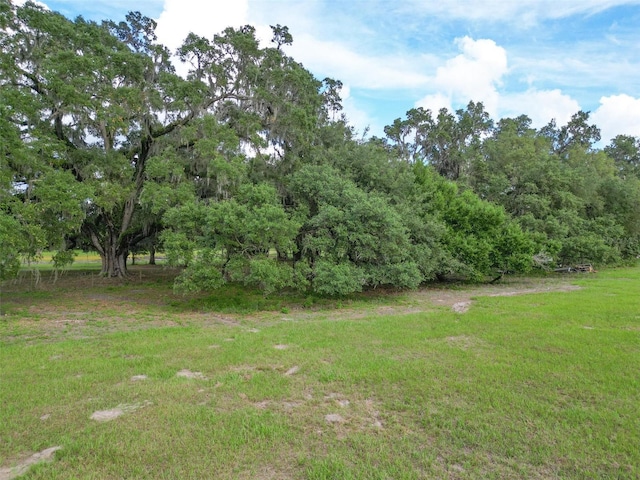 12545 Crk 721, Webster, FL 33597