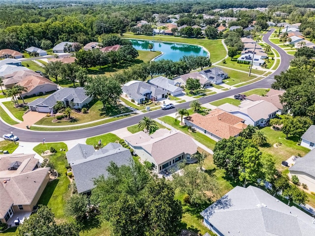 27018 Nature View St, Leesburg, FL 34748 - photo 42