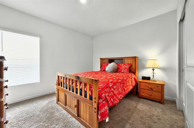 33960 Sky Blossom Cir, Leesburg, FL 34788 - carpeted bedroom with baseboards