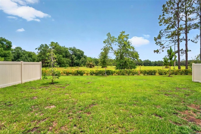 33960 Sky Blossom Cir, Leesburg, FL 34788 - view of yard