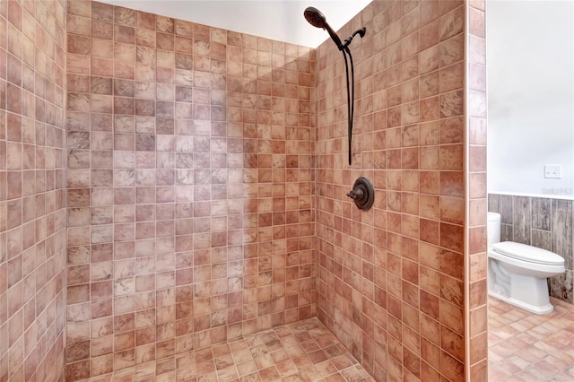 10330 Dwights Rd, Clermont, FL 34714 - full bathroom with tiled shower, toilet, and wainscoting