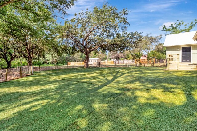 10330 Dwights Rd, Clermont, FL 34714 - view of yard