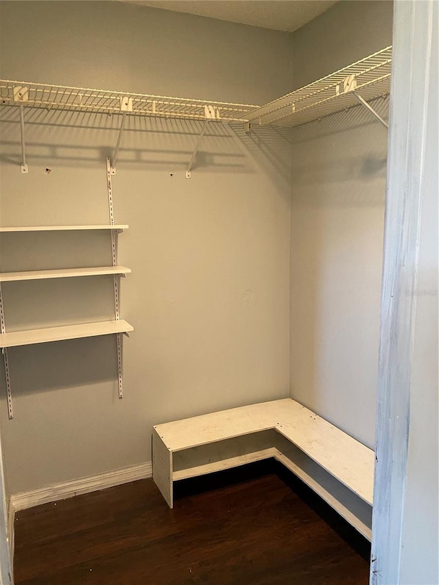 901 Baylor Dr, Deltona, FL 32725 - walk in closet with dark wood finished floors
